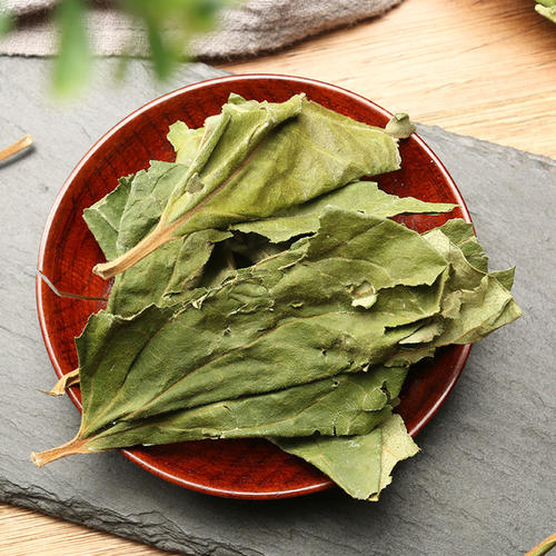 Persimmon Leaf Tea le thé en feuilles de kaki