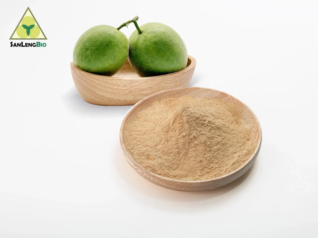 Monk Fruit Flavour Powder Supplier | Natural Luo Han Guo Powder Manufacturer