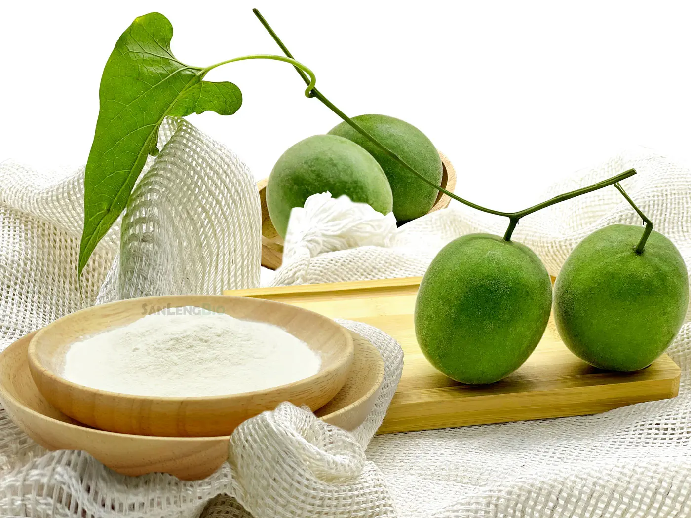 Monk Fruit Extract Powder Mogroside V20 V50 V60 V75 – Bulk Supplier SanLengBio Guilin China