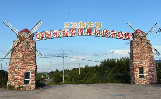 Monk Fruit Cultivation Demonstration Base – SanLengBio, Yongfu County, Guangxi, China