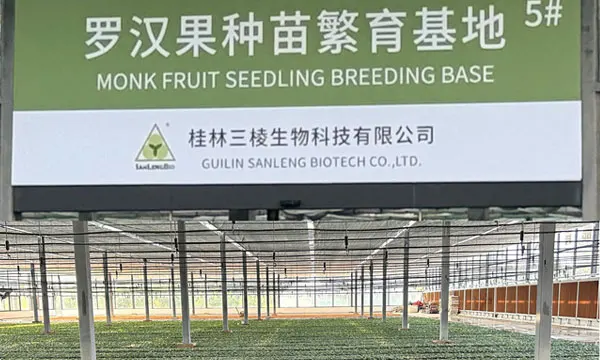 Monk Fruit Virus-free Seedling Laboratory Interior – Inoculation Room, SanLengBio Yongfu