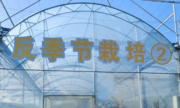 Monk Fruit Off-season Greenhouse Cultivation Facility – SanLengBio, Guangxi, China