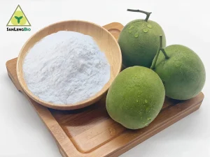 High Purity Monk Fruit Extract powder with premium Mogroside V for food and pharmaceutical applications