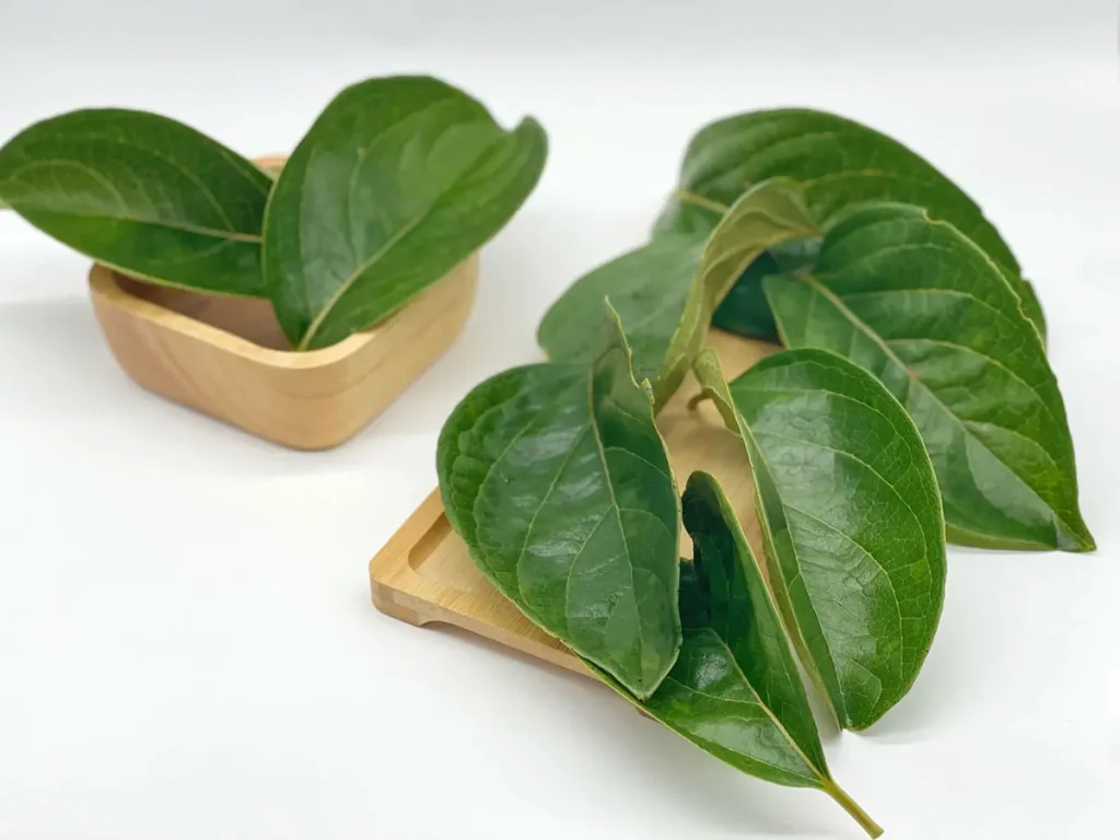 Make innovation on the production technology of 98% ursolic acid in 2020