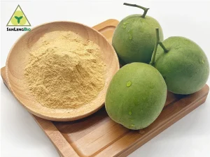 Monk Fruit Extract powder manufactured by SanLengBio, natural sweetener ingredient for food, beverage and dietary supplement applications.