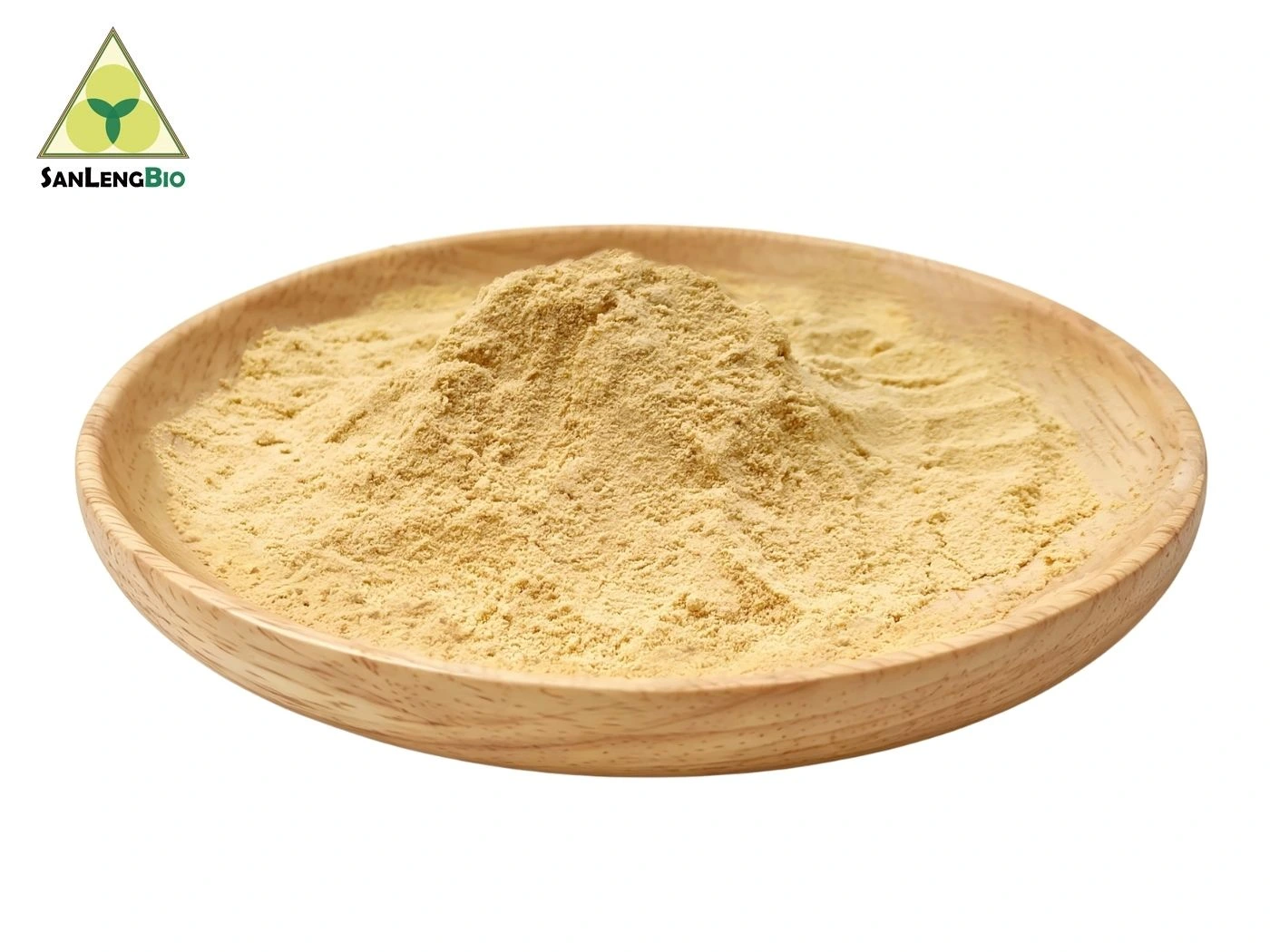 Monk Fruit Extract MV20–30 powder with 20–30% Mogroside V content
