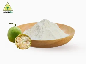 Monk Fruit Extract wholesale supplier for bulk natural sweetener ingredients