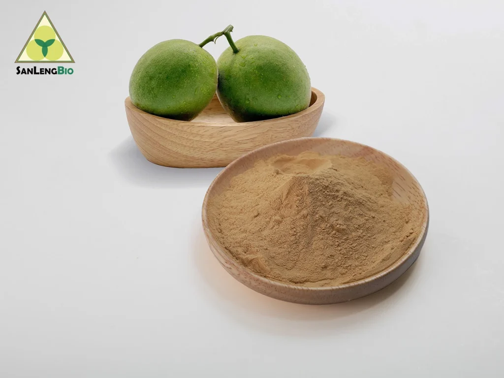 Monk Fruit Flavour Powder made from natural Luo Han Guo for food and beverage applications