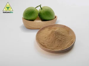 Monk Fruit Flavour Powder made from natural Luo Han Guo for food and beverage applications