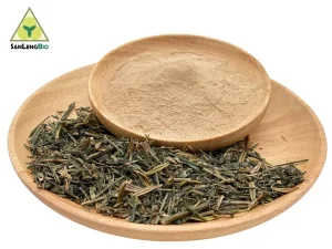Andrographis Paniculata raw material and Andrographis Extract powder