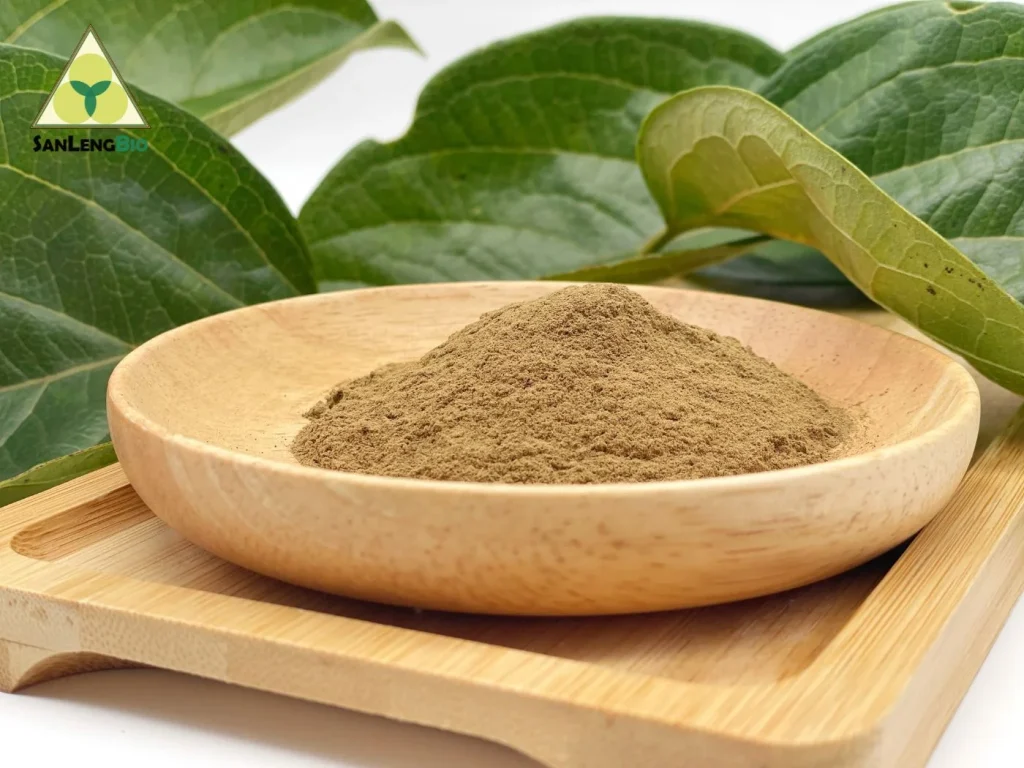 Persimmon Leaves Extract powder from Diospyros kaki Thunb