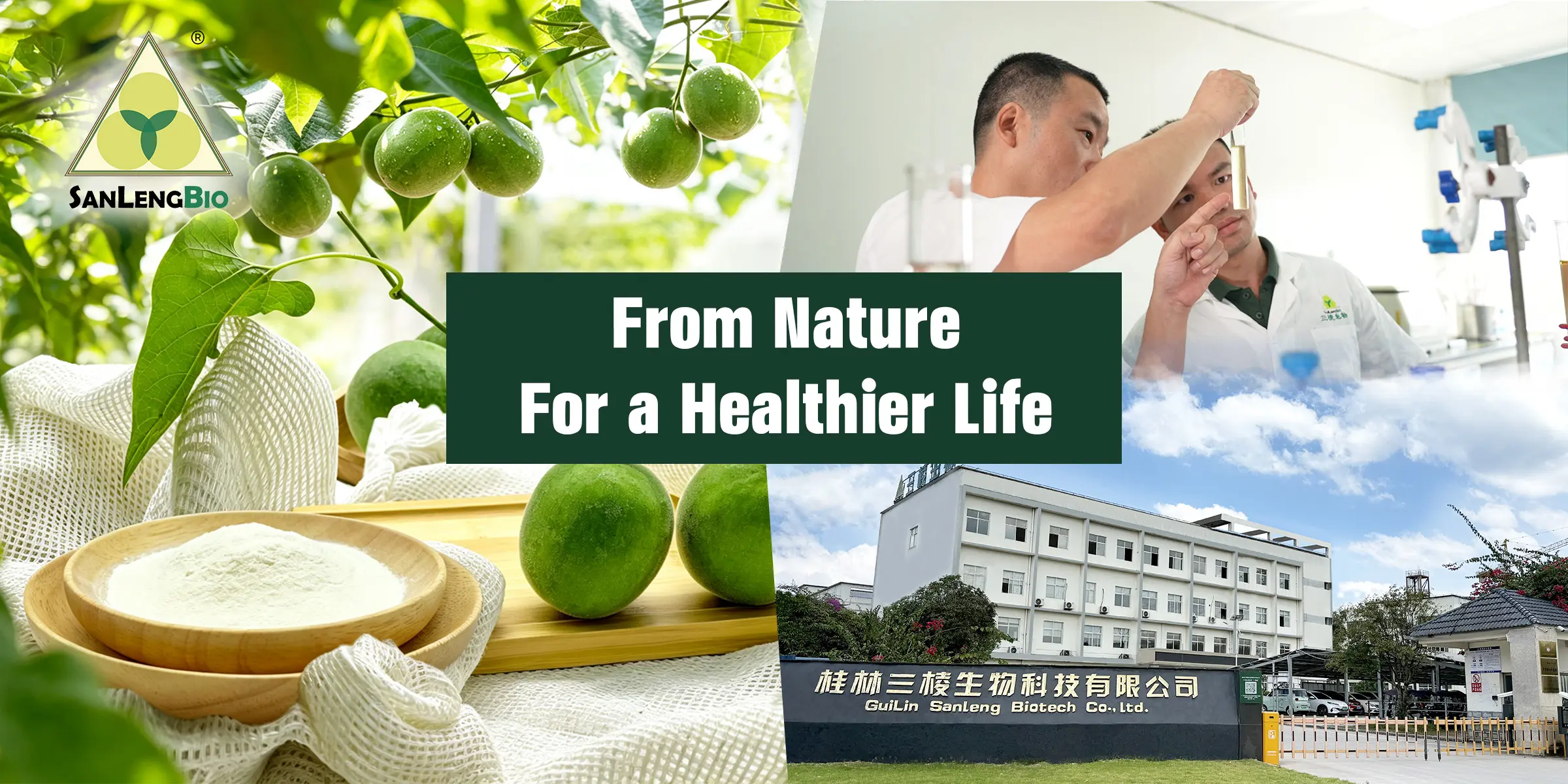 SanLengBio Monk Fruit Ingredient Manufacturer